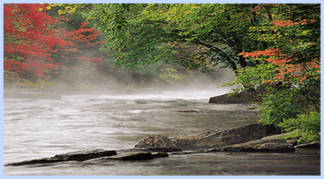 Meditación en Palermo